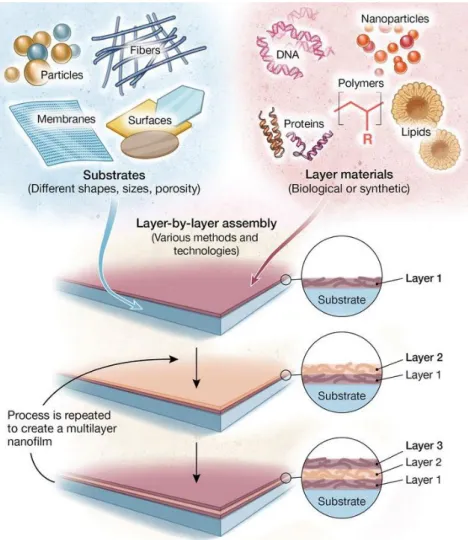 Figure 1-8|Assemblage de films multicouches LbL. Les films LbL peuvent être construits sur une variété importante de formes, de  tailles et de porosité de substrats