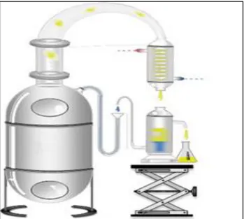 Figure 2 : Description schématique de système d’extraction par l’entraînement   à la vapeur (Li et al., 2014) 