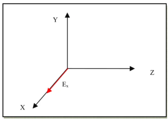 Fig. I.1 :   Mode TE. 