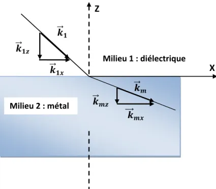 Fig. I.3 :  Illustration d’une interface métal diélectrique. 