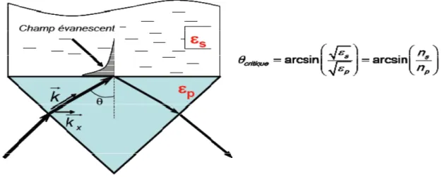 Fig. I.9:  Réflexion interne totale (RIT) d’une onde dans un prisme. Illustration de la décroissance  exponentielle de l’amplitude du champ évanescent dans le milieu extérieur d’indice de réfraction 