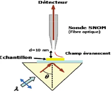 Fig. I.17:  Principe du microscope à balayage à effet tunnel optique (PSTM). Un champ  évanescent est créé par réflexion totale. Une pointe SNOM est approchée à la surface et frustre le 