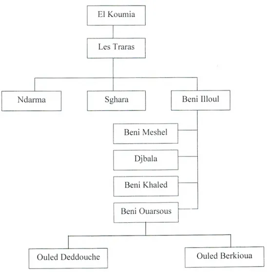 Figure 01: Arbre généalogique de Beni Ouarsous  (Rinn. 2005) 