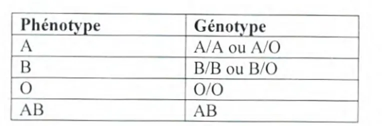 Tableau 08: Phénotypes et génotypes du système ABO  (Bach, 1993). 