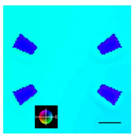 Fig. 5. Complex amplitude of the object as retrieved from a scalar ptychography measurement