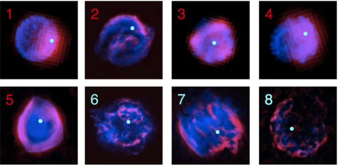 Fig. 1.— Images of Spitzer 24 µm emission (red) and Chandra soft X-ray (0.5–2.1 keV) emission (blue) of 8 SNRs listed in Table 1 with background and point sources removed