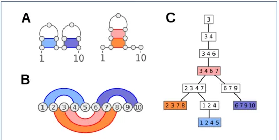Figure 2 Toy example of a tree decomposition associated with two target structures in the stacking energy model (where the four positions of each base pair stack depend on each other).