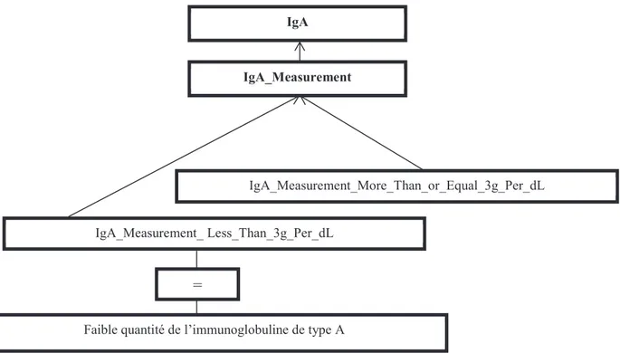 Figure 18: Spécialisation du concept IgA_Measurement en utilisant les données de la littérature