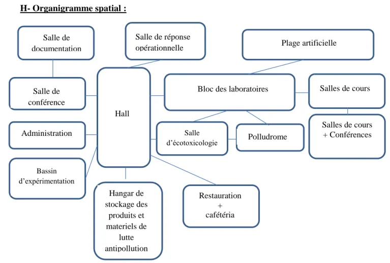 Figure 27 : Organigramme spatial du Cedre (fait par l’auteur) 