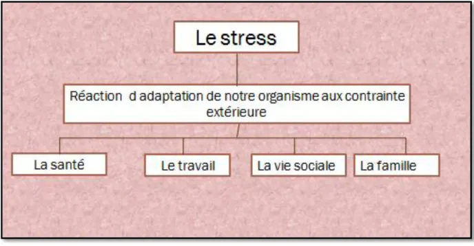 Figure 2: les contraintes exterieures qui cause le stress                                                       