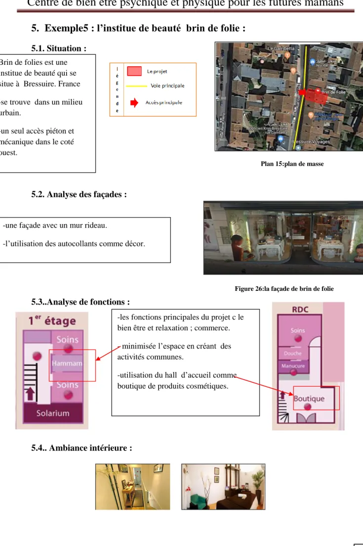Figure 26:la façade de brin de folie 