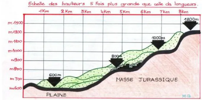 Figure 26 : Coupe transversale montrant le relief de Tlemcen 54