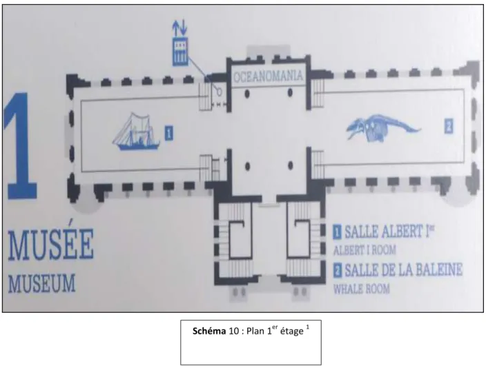 Figure 17 : Aquarium, salle  des mers tropicales 2