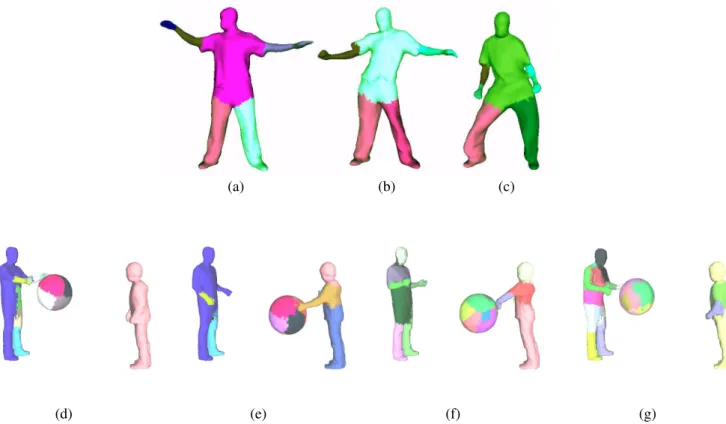 Figure 9: (a,b,c) Variable segmentation generated by our algorithm on the Dancer sequence [38]