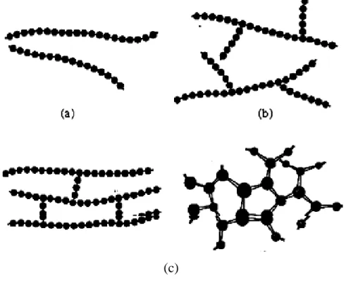 Figure I.1 : Trois types de molécule de polymères. 