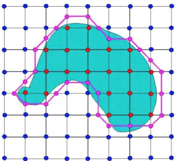 Figure   44   :   les   points   violets   sont   connectés.   La   courbe   obtenue   représente   une   approximation   de   la   frontière   de   l’objet    de   départ
