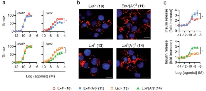 Fig. 6 GLP-1R biased signalling and tra ﬃ cking studies. (a) Cyclic AMP (cAMP) and b-arrestin-2 (barr2) responses in PathHunter CHO – GLP-1R cells, 30 min stimulation, all ligands and pathways run in parallel, results normalized to global maximum responses