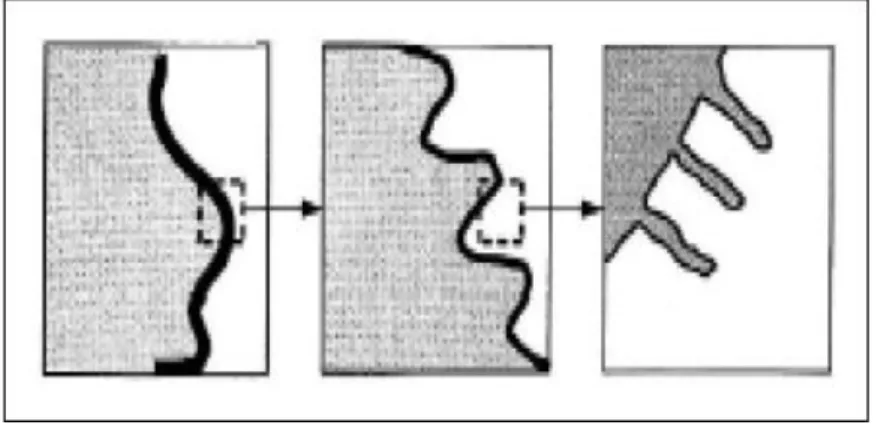 Figure 3.1 Objet Fractale 