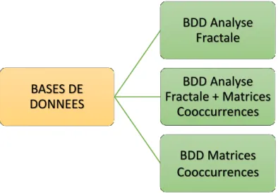 Figure 4.3 : les différentes bases de données 