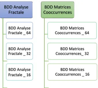 Figure 4.4 : les différentes tailles des fenêtres des bases de données 