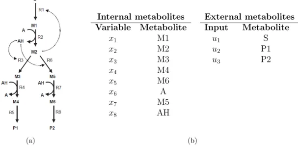 Figure 6: (a) A branched metabolic pathway with feedback from (Visser and Heijnen, 2003)