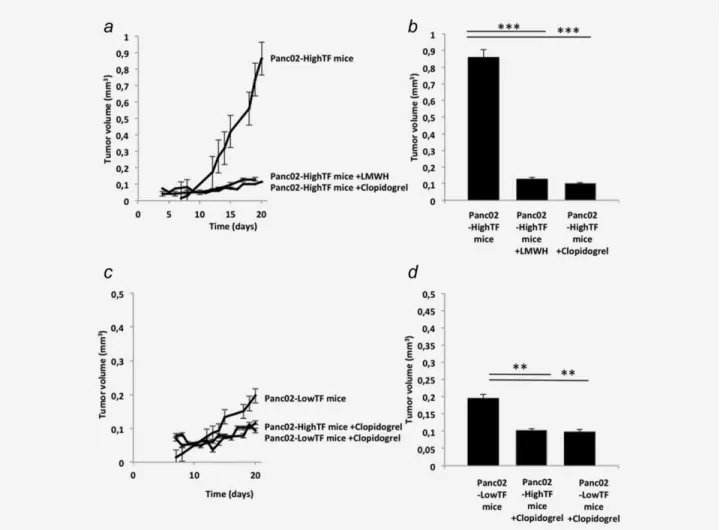 Figure 2. Treatment with Clopidogrel reduces tumor growth. (a, b) The growth of the tumors over time (a) and mean volume of the tumors at day 20 (b) were evaluated in mice bearing ectopic tumors induced by Panc02-HighTF cells and treated or not (N 5 10) wi