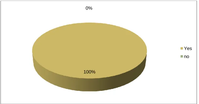 Table 2.7: Teachers’ opinion about the use of code switching. 
