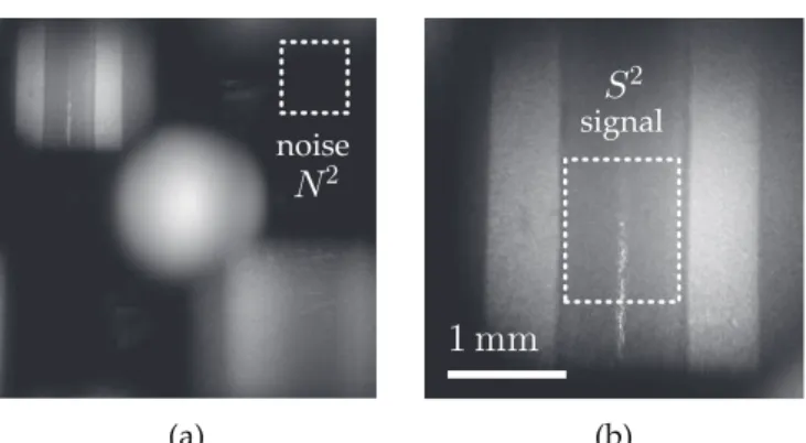 FIG. 2. (a) Squared amplitude hologram of the tube used for in vitro fluid flow calibration measurements