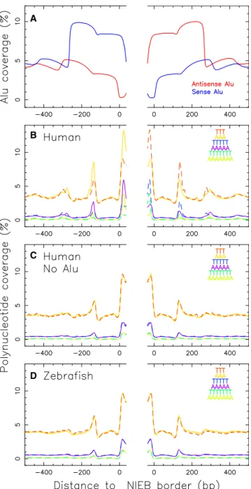 FIGURE 4 (A) Mean coverage by sense (blue) and antisense (red) Alu retroelements at the borders between NIEBs of size > 70 bp and inter-NIEBs of length > 1000 bp in human (Table 1; 709,948 and 709,772 borders with the NIEBs on the 3 0 and 5 0 border 