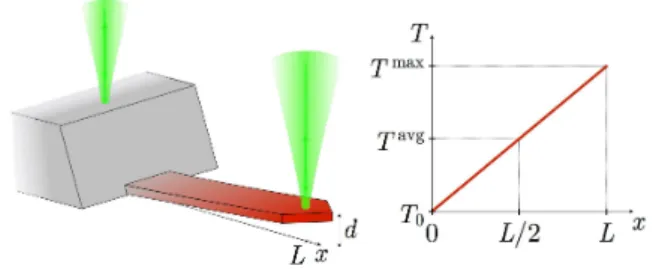 FIG. 1. Experiment principle: the deflection d of a micro- micro-cantilever (typically 500 µm × 100 µm × 1 µm) is recorded through the interference of two laser beams, one reflected on the cantilever free end, the other on the chip holding the cantilever [