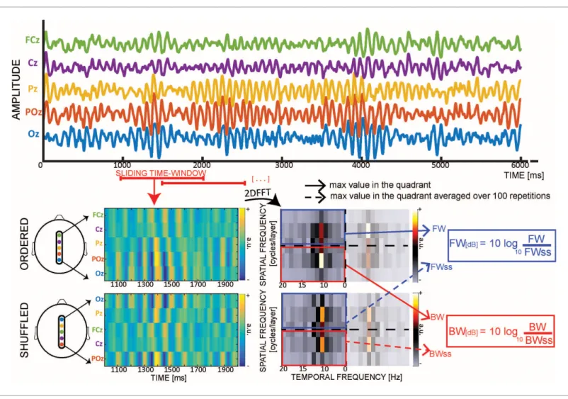 Figure 1. Quantifying cortical waves. From each 1 s EEG epoch we extract a 2D-map, obtained by stacking signals from five midline electrodes