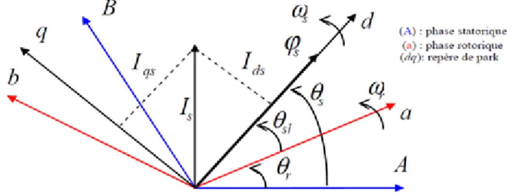Figure II-5 orientation de l’axe d sur le flux statorique 