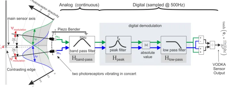 Fig. 3. Sketch diagram of the VODKA sensor. The left part shows the Gaussian angular sensitivity of each of the two photoreceptors placed in front of a contrasting edge