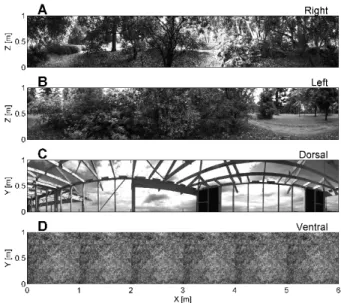 Figure 2: The grayscale natural scenes used to line the 4 internal faces of the simulated tunnel