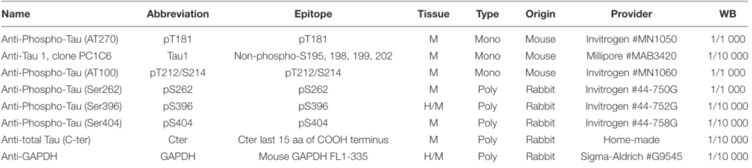 TABLE 2 | List of primary antibodies used for biochemical detection of Tau proteins on Western blot.