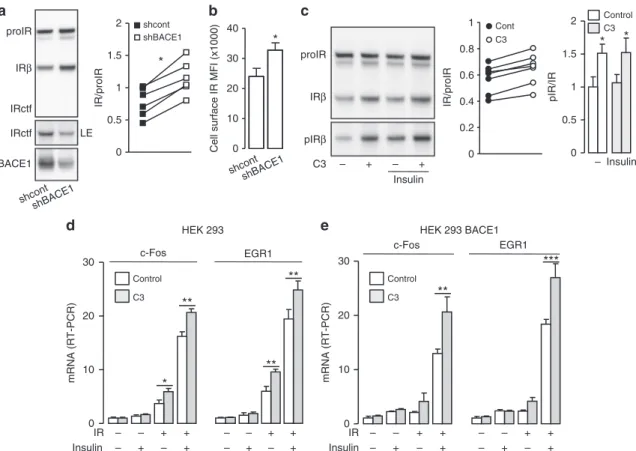 Fig. 3 BACE1 regulates the amount of cell surface IR. a HEK 293 cells, stably expressing BACE1, were co-transfected with IR expression vector and control shRNA (shcont) or BACE1 speci ﬁ c shRNA (shBACE1) then IR and BACE1 were analyzed by immunoblot