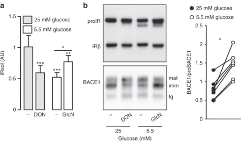 Fig. 5 Effect of glucose on IR cleavage and BACE1 expression. HEK 293 cells expressing IR and BACE1 were incubated for 24 h in media containing the indicated glucose concentrations, in the absence ( − ) or presence of deoxynorleucine (DON; 5 mM) or glucosa