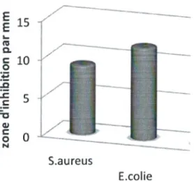 Tableau 06  :  Diamètres (mm) des zones d'inhibition des dilutions pour E coli. 