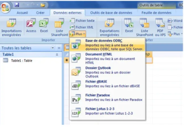 Figure 3.1  Migration de la BDD SQL Server vers MS Access étape 01