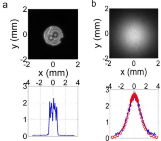 Figure  10.  Fluence  profile  of  a  femtosecond  pulse  before  (a)  and  after  (b)  reflection  on  the  filament  mirror,  as  recorded  in  a  single  shot  with a CCD camera