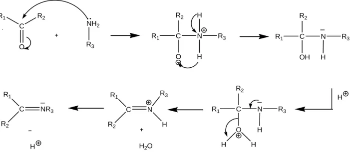 Figure 2 : Réaction de formation d'une base de Schiff  11