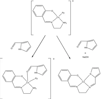Figure 5 : Complexe de cuivre non-symétrique