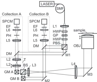FIG. 1: Schematics of the dual spot FCS system. Abbrevi- Abbrevi-ations: SMF, single mode fiber; L1-L6, achromatic doublets (L1 = 25 mm, L2 = 30 mm, L3 = 100 mm, L4 = 300 mm, L5 = 150 mm, L6 = 50 mm); HWP, half-wave plate; GP, Glan polarizer; PBS, polarizi