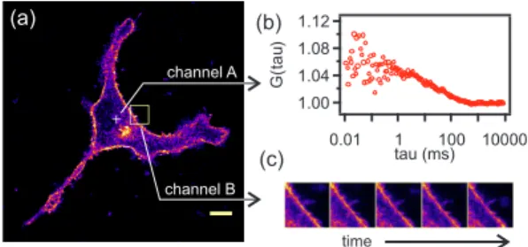 FIG. 11: (Color online) Example of simultaneous imaging.