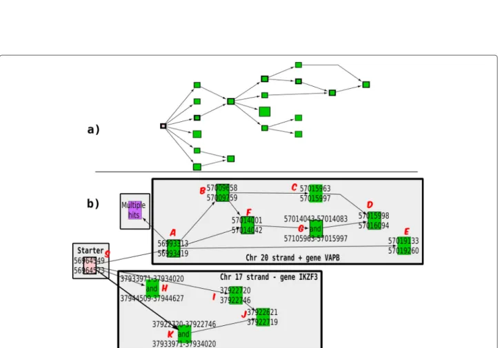 Figure 7 Gene fusion in human breast cancer. Extension graph of an extremity of an exon from the VAPB human gene located on chromosome 20