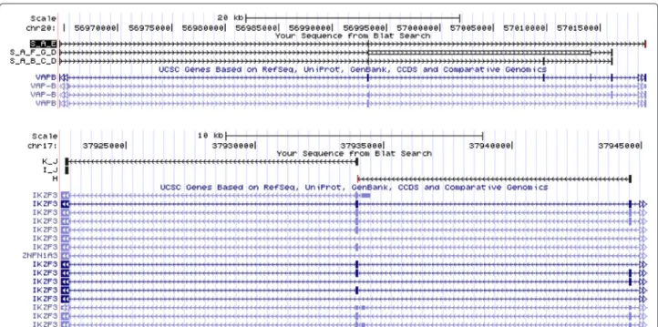 Figure 8 Gene fusion in human breast cancer - Blat results. Blat [17] results obtained after mapping paths from the starter to a leaf of the graph presented Figure 7