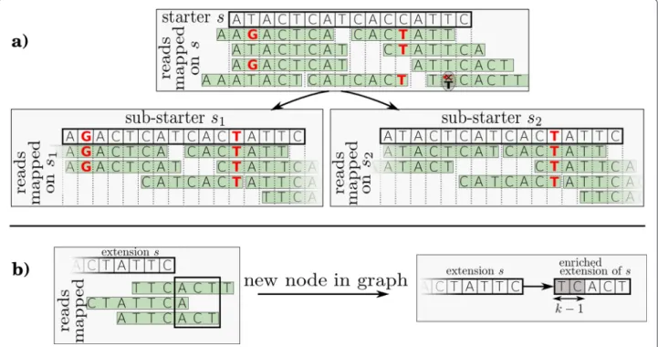 Figure 1 Algorithm overview. Overview of the algorithm steps with reads of length 7, a minimal coverage of 2 and k-mers of length k = 3