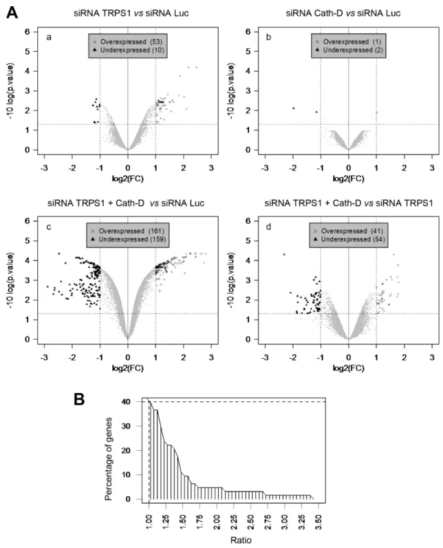 Figure  8:  Cath-D  influences TRPS1  transcription  repression  function.  A.  Transcriptome  analysis  of TRPS1-silenced  and  Cath-D-silenced cells