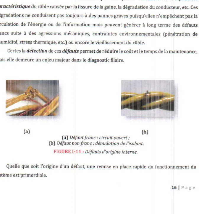 FIGURE  l-11  |  DéfaùB  d'ortgike  lnteme.