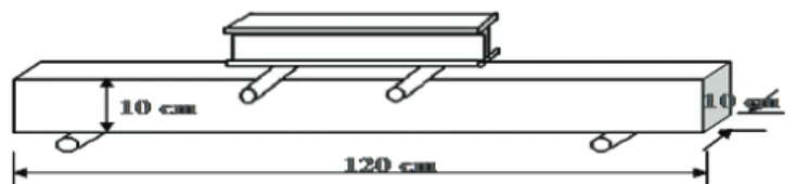 Figure 2. Poutrelles utilisées pour l'étude du comportement des mélanges en flexion 2.2